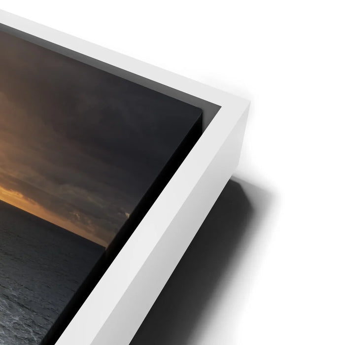 Featured image 12 for Ocean Bloom