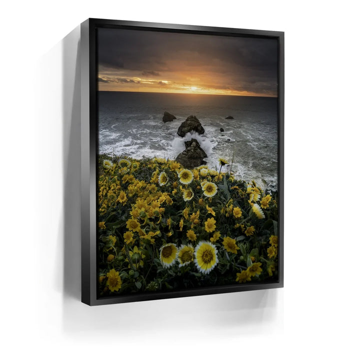 Featured image 5 for Ocean Bloom