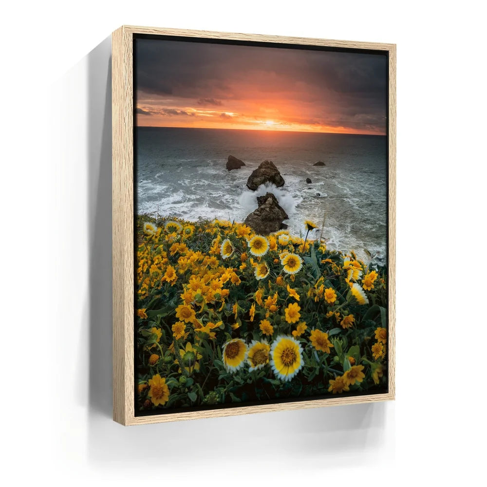 Featured image 9 for Ocean Bloom