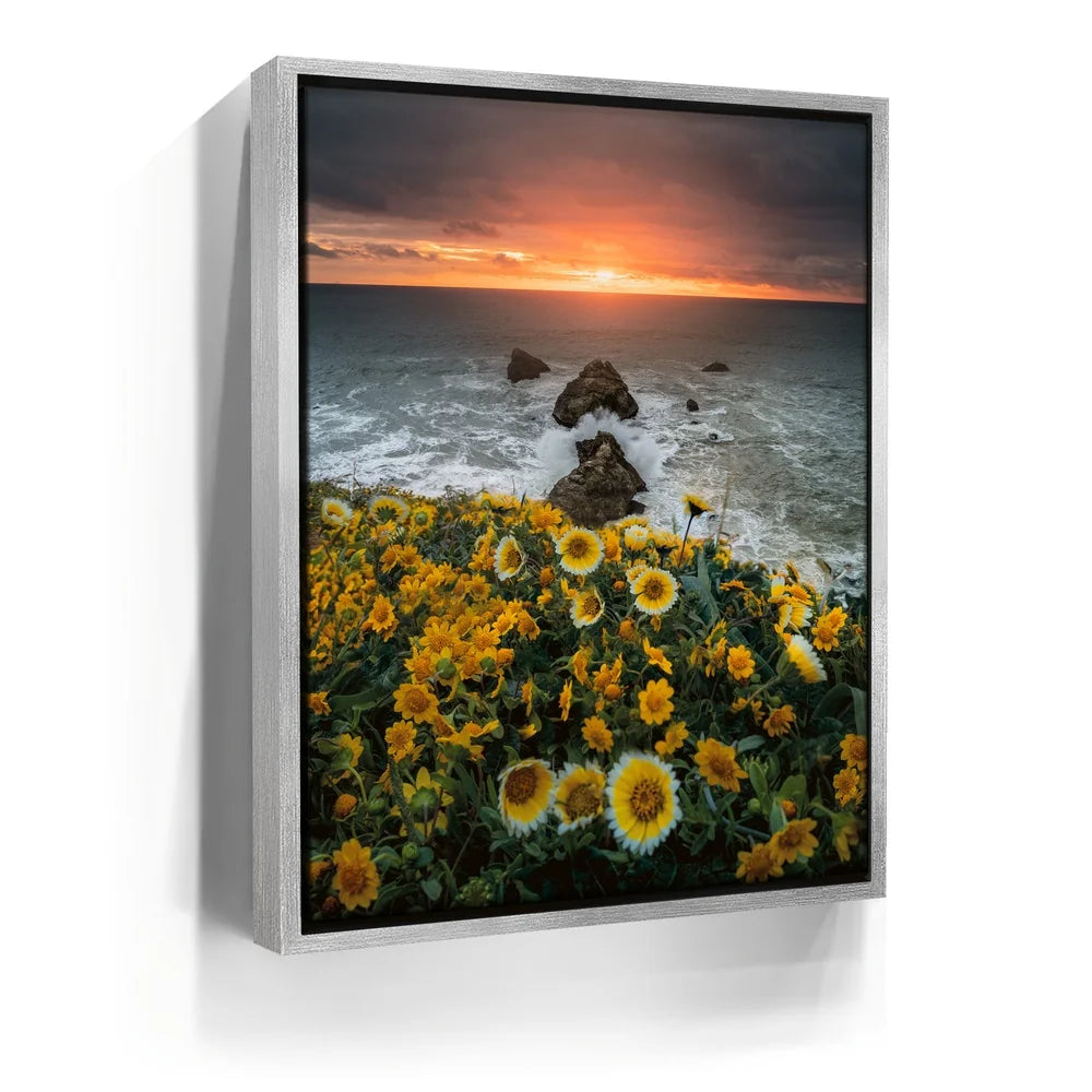 Featured image 8 for Ocean Bloom