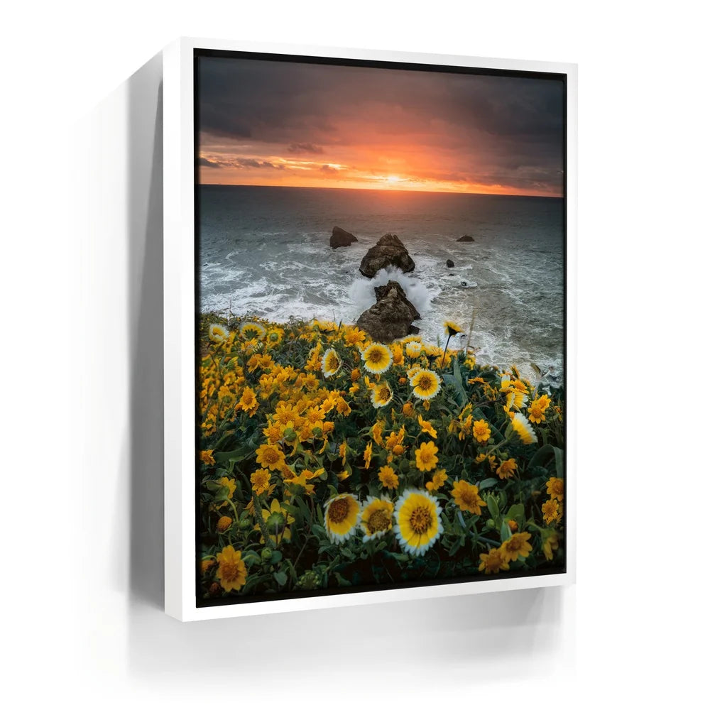 Featured image 6 for Ocean Bloom
