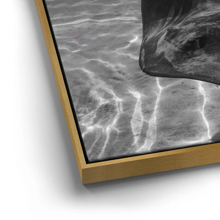 Featured image 15 for Ocean Flying B&W, Tahiti