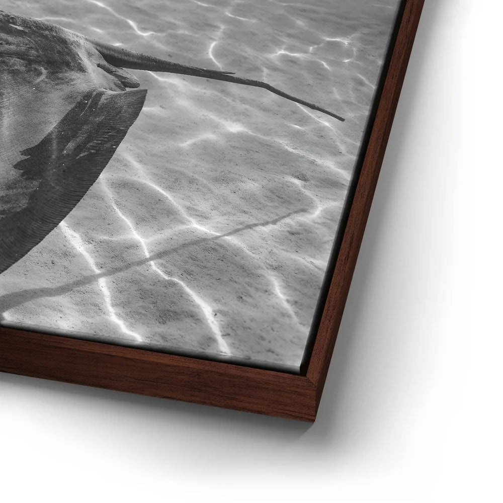 Featured image 14 for Ocean Flying B&W, Tahiti
