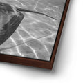 Thumbnail image 14 for Ocean Flying B&W, Tahiti