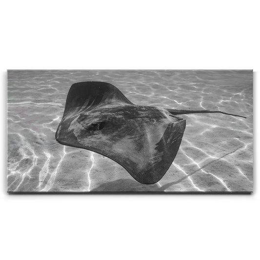 Ocean Flying B&W, Tahiti Posters, Prints, & Visual Artwork TheGoatWallArt LANDSCAPE - WIDE 30x15 0.75" STANDARD