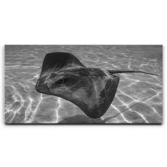 Ocean Flying B&W, Tahiti Posters, Prints, & Visual Artwork TheGoatWallArt LANDSCAPE - WIDE 30x15 1.50" GALLERY