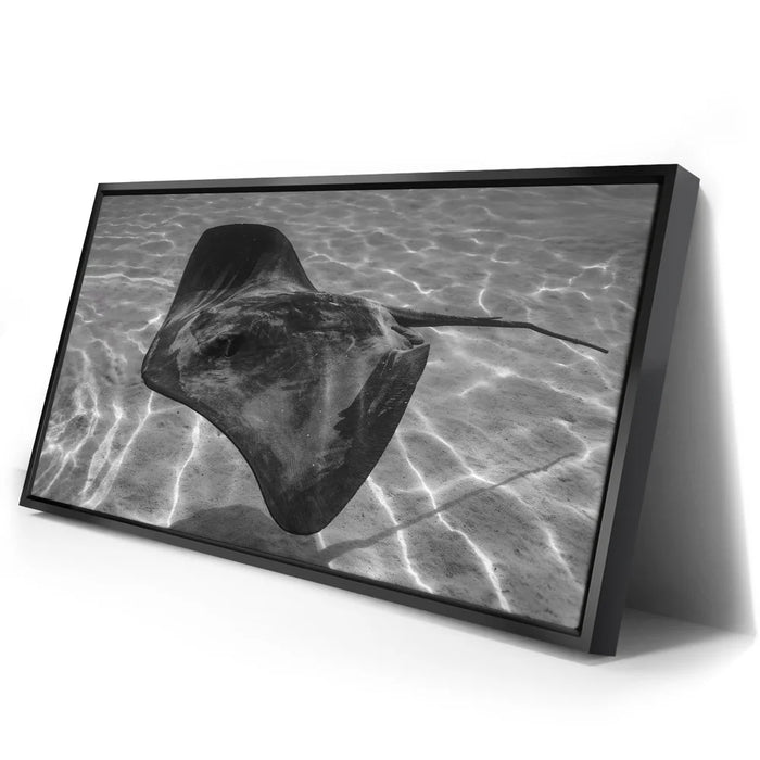 Featured image 2 for Ocean Flying B&W, Tahiti