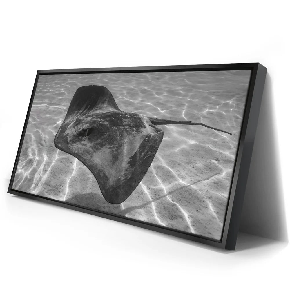 Featured image 2 for Ocean Flying B&W, Tahiti