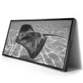 Thumbnail image 2 for Ocean Flying B&W, Tahiti