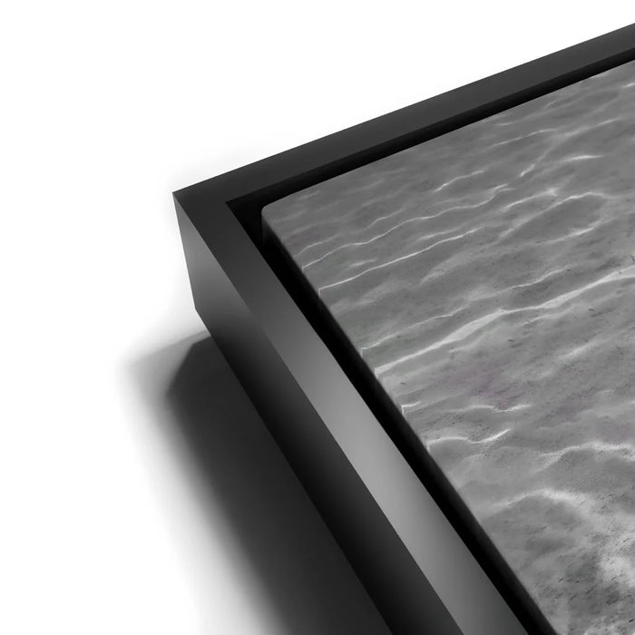 Featured image 12 for Ocean Flying B&W, Tahiti