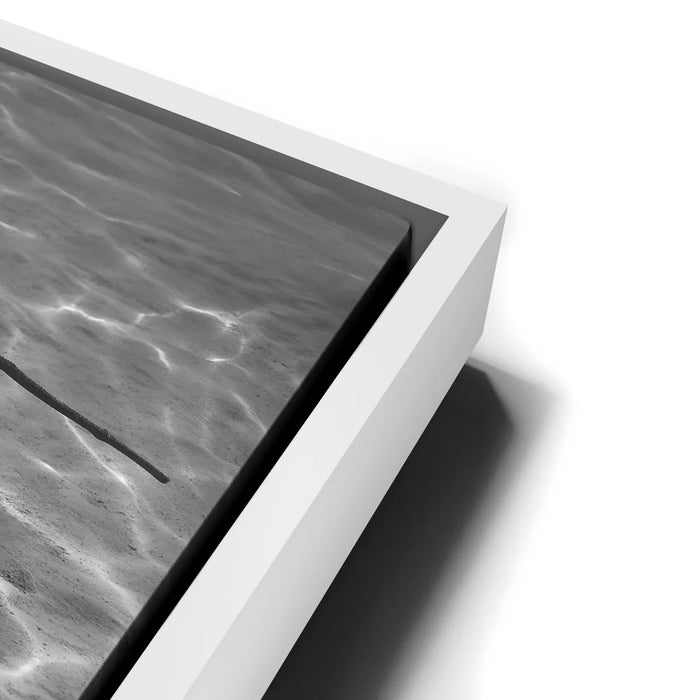 Featured image 14 for Ocean Flying B&W, Tahiti