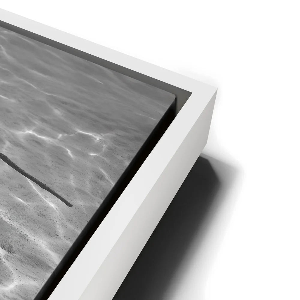 Featured image 13 for Ocean Flying B&W, Tahiti