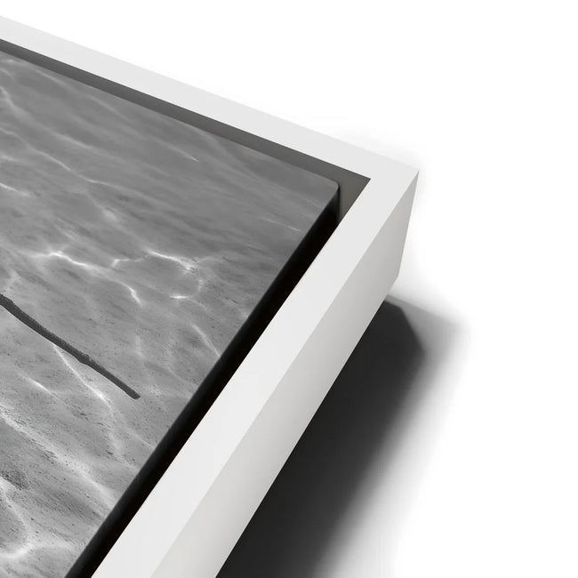 Featured image 13 for Ocean Flying B&W, Tahiti