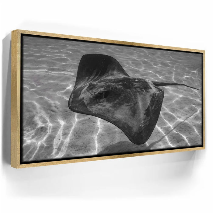 Featured image 8 for Ocean Flying B&W, Tahiti