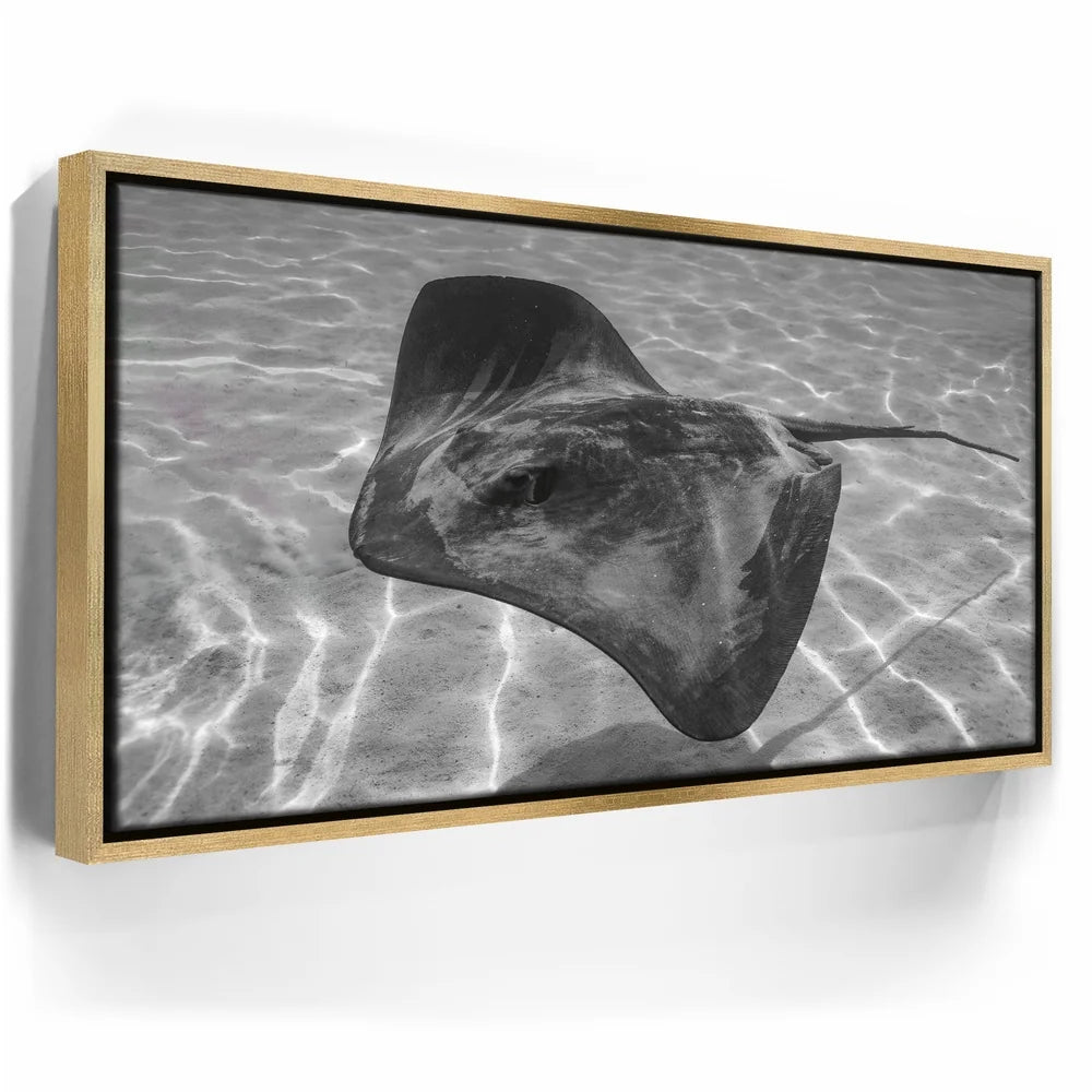 Featured image 7 for Ocean Flying B&W, Tahiti
