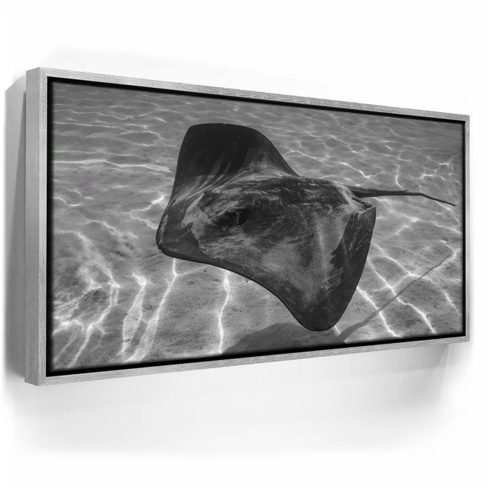 Featured image 9 for Ocean Flying B&W, Tahiti