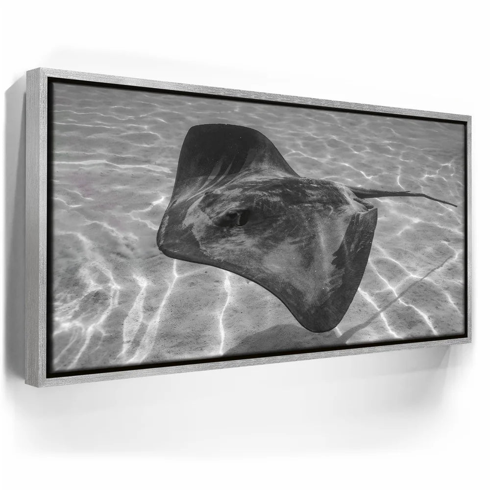 Featured image 8 for Ocean Flying B&W, Tahiti