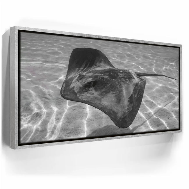 Featured image 8 for Ocean Flying B&W, Tahiti