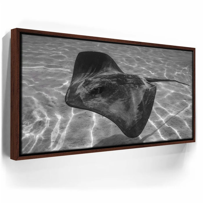 Featured image 11 for Ocean Flying B&W, Tahiti