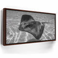 Featured image 10 for Ocean Flying B&W, Tahiti