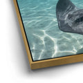 Thumbnail image 12 for Ocean Flying, Tahiti