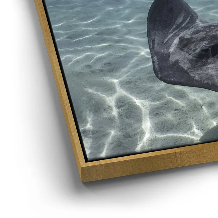 Featured image 12 for Ocean Flying, Tahiti