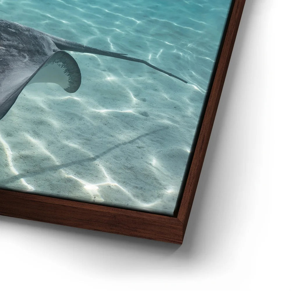 Featured image 14 for Ocean Flying, Tahiti