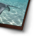 Thumbnail image 14 for Ocean Flying, Tahiti