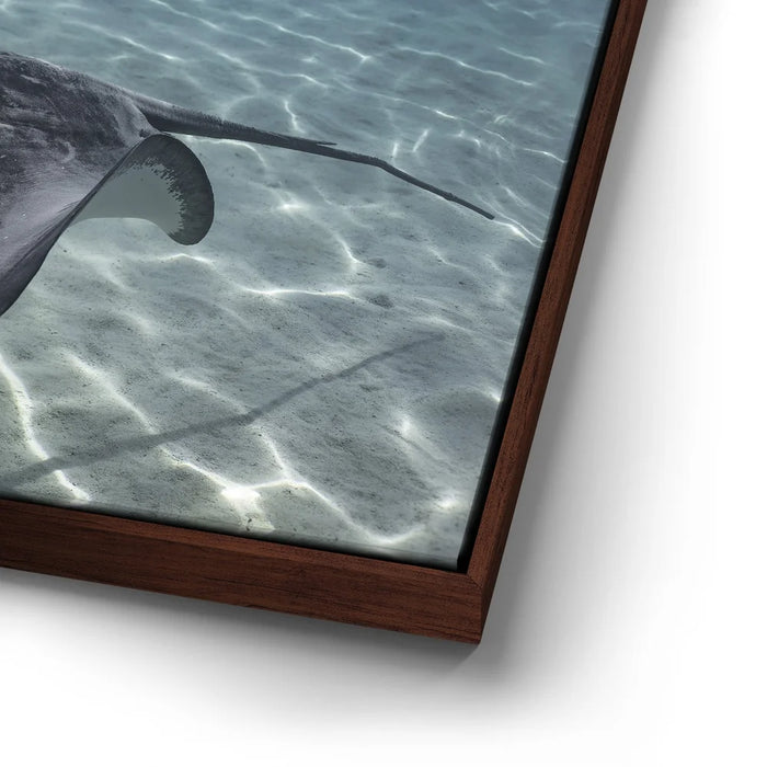 Featured image 14 for Ocean Flying, Tahiti