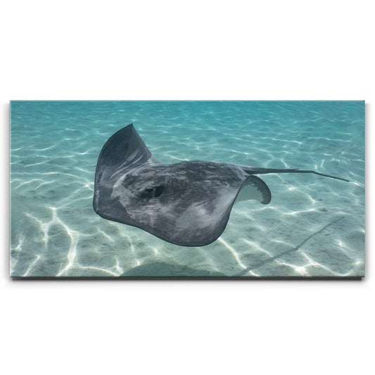 Ocean Flying, Tahiti Posters, Prints, & Visual Artwork TheGoatWallArt LANDSCAPE - WIDE 30x15 0.75" STANDARD