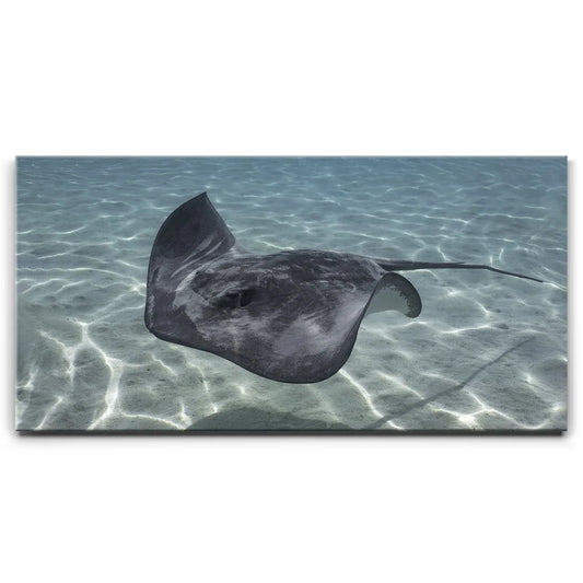 Ocean Flying, Tahiti Posters, Prints, & Visual Artwork TheGoatWallArt LANDSCAPE - WIDE 30x15 0.75" STANDARD
