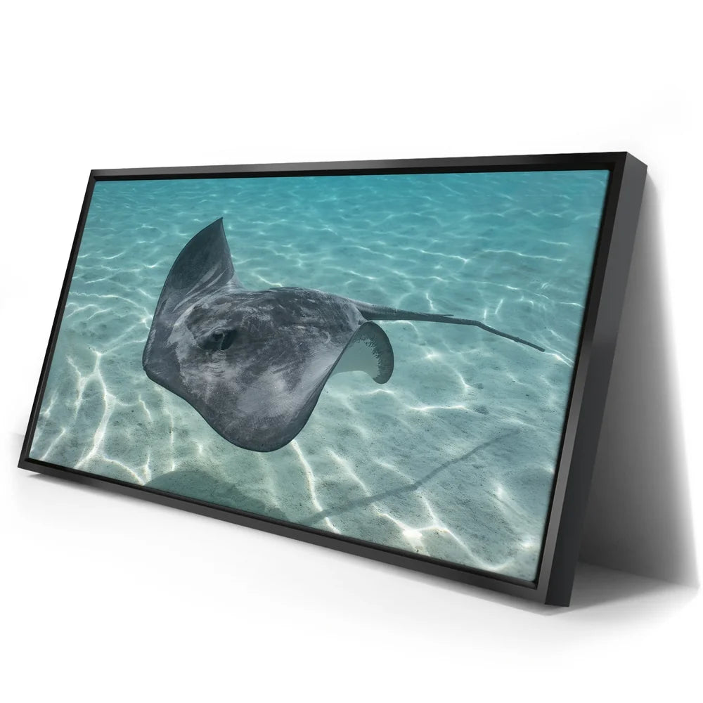 Featured image 2 for Ocean Flying, Tahiti