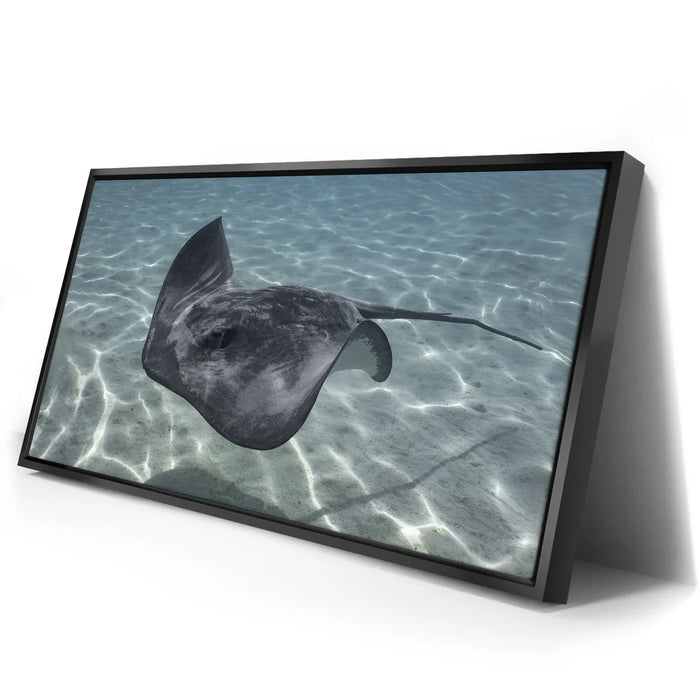 Featured image 2 for Ocean Flying, Tahiti