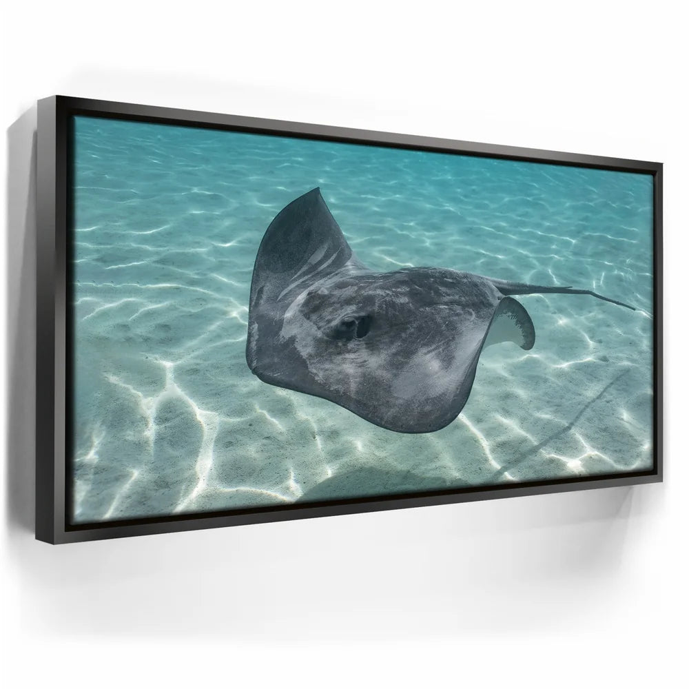 Featured image 5 for Ocean Flying, Tahiti