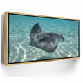 Featured image 7 for Ocean Flying, Tahiti