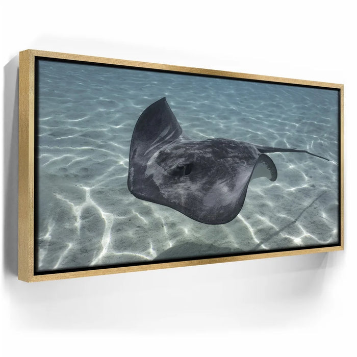 Featured image 7 for Ocean Flying, Tahiti