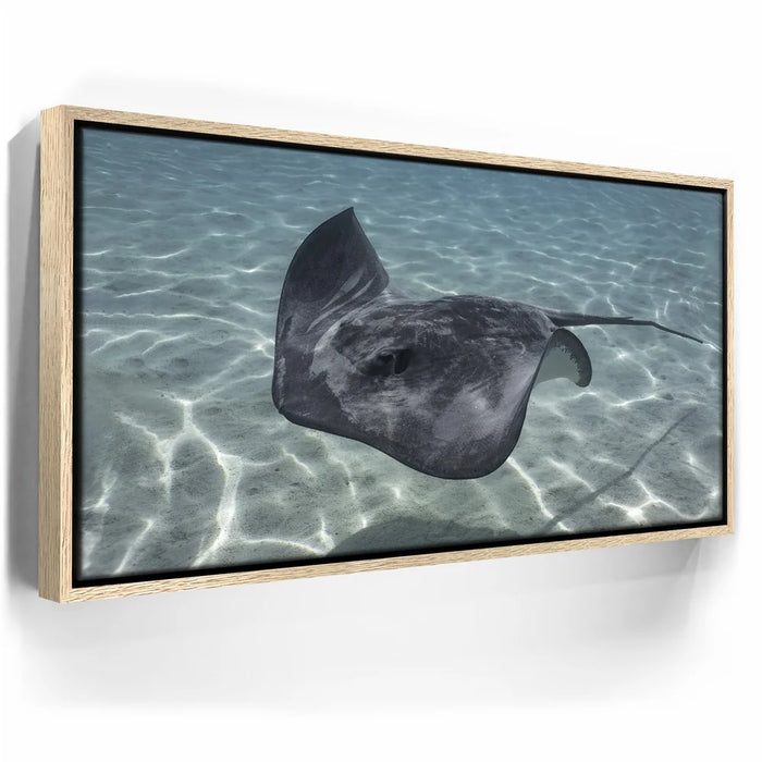 Featured image 9 for Ocean Flying, Tahiti