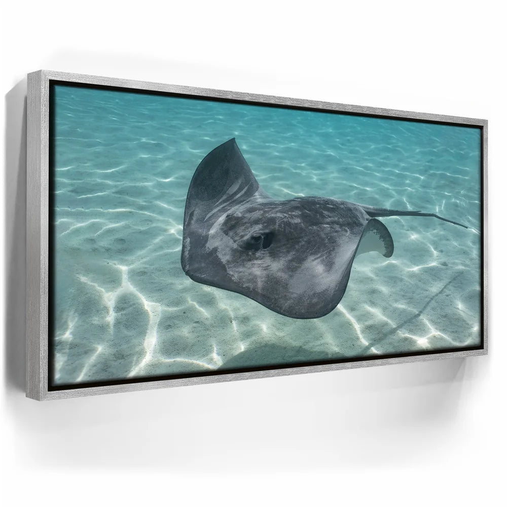 Featured image 8 for Ocean Flying, Tahiti