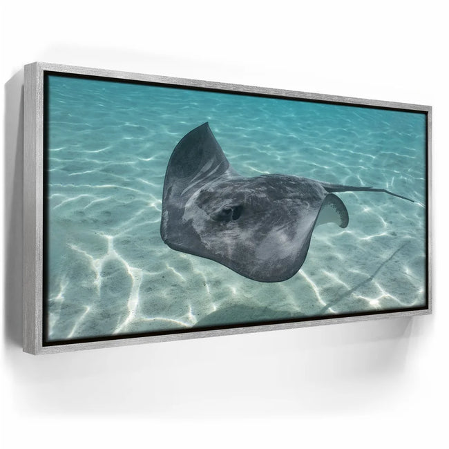 Featured image 8 for Ocean Flying, Tahiti
