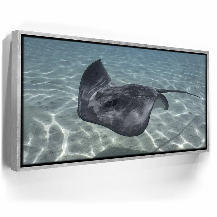 Featured image 8 for Ocean Flying, Tahiti