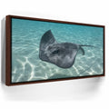 Featured image 10 for Ocean Flying, Tahiti