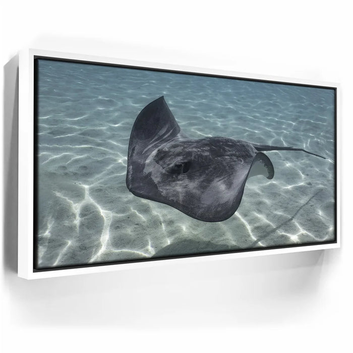 Featured image 6 for Ocean Flying, Tahiti