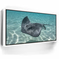 Featured image 6 for Ocean Flying, Tahiti
