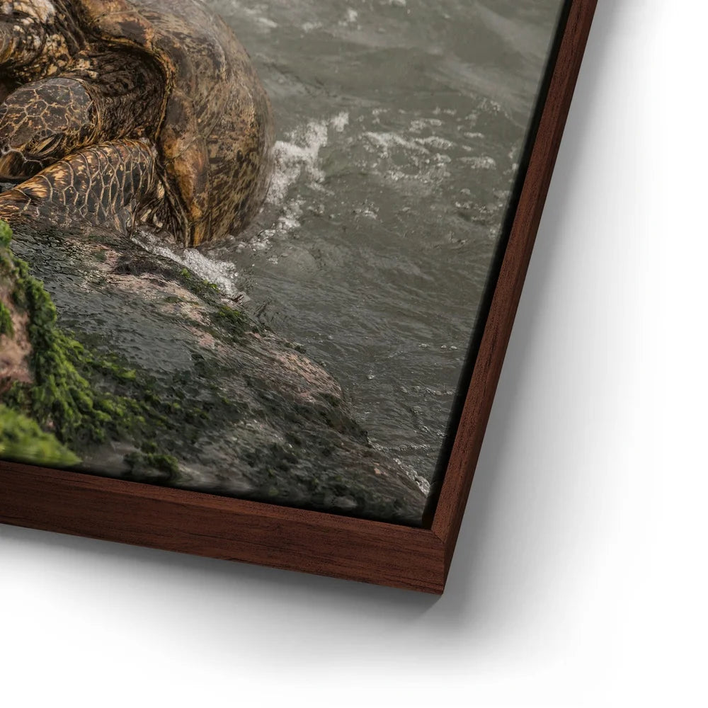 Featured image 14 for Ocean Guardian - Maui, HI