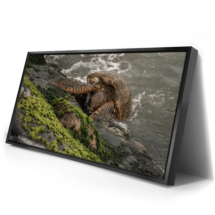 Featured image 2 for Ocean Guardian - Maui, HI