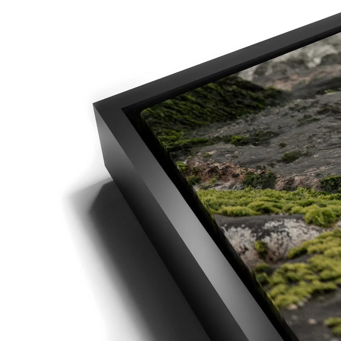 Featured image 11 for Ocean Guardian - Maui, HI