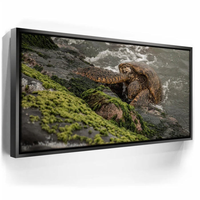 Featured image 5 for Ocean Guardian - Maui, HI