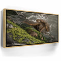 Featured image 7 for Ocean Guardian - Maui, HI