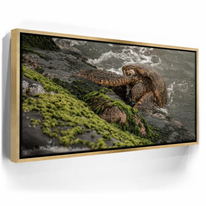 Featured image 7 for Ocean Guardian - Maui, HI