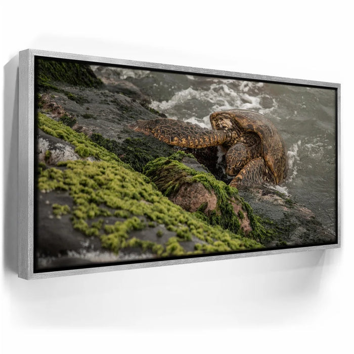 Featured image 8 for Ocean Guardian - Maui, HI